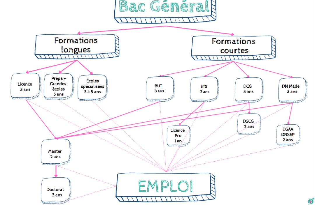 Quelles études supérieures faire avec un bac général ? Apel